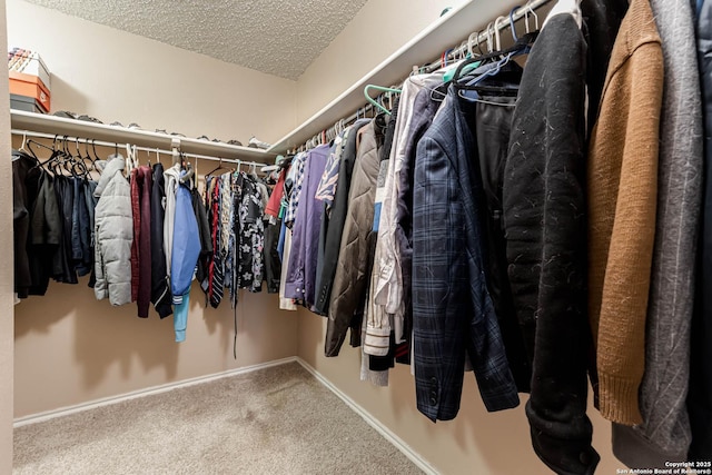 spacious closet featuring carpet