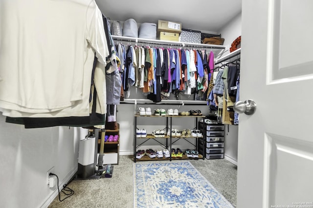 view of spacious closet