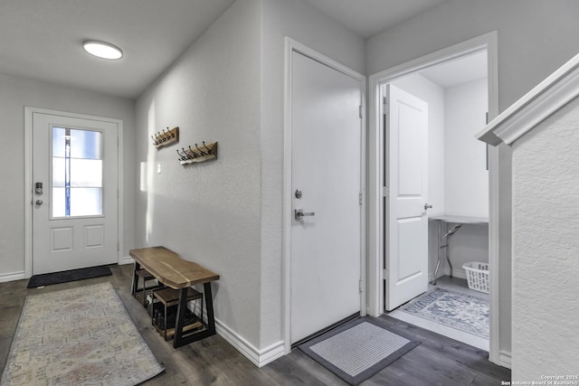 entrance foyer with dark wood-type flooring