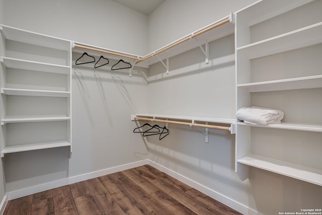 spacious closet with dark wood-type flooring