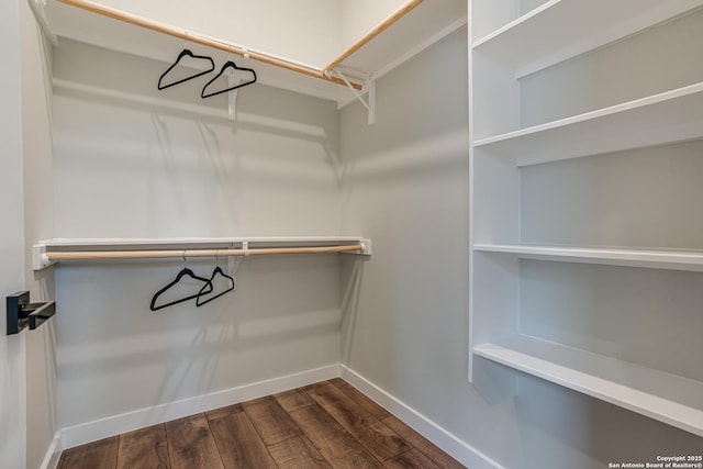 walk in closet with dark hardwood / wood-style floors