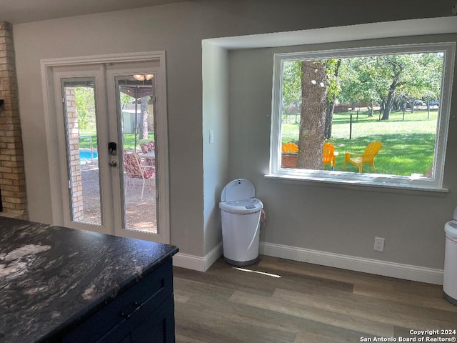 entryway with plenty of natural light, dark hardwood / wood-style floors, and french doors