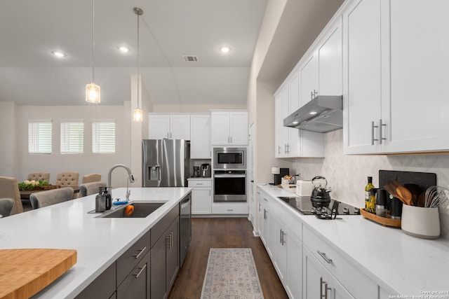 kitchen featuring stainless steel appliances, sink, white cabinets, hanging light fixtures, and range hood