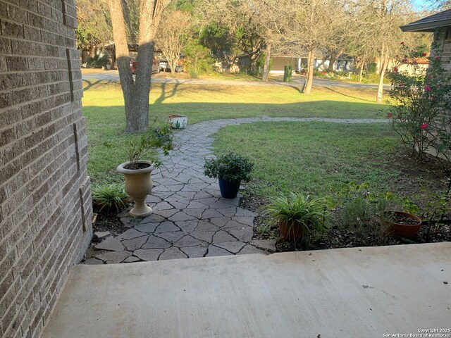 view of yard featuring a patio