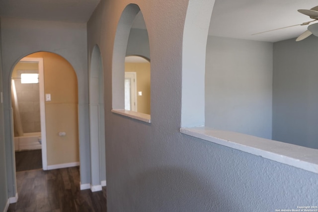 hallway featuring dark hardwood / wood-style flooring