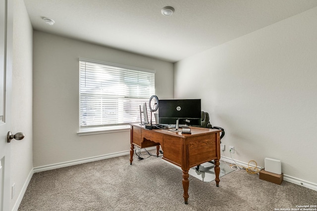 office area featuring carpet floors