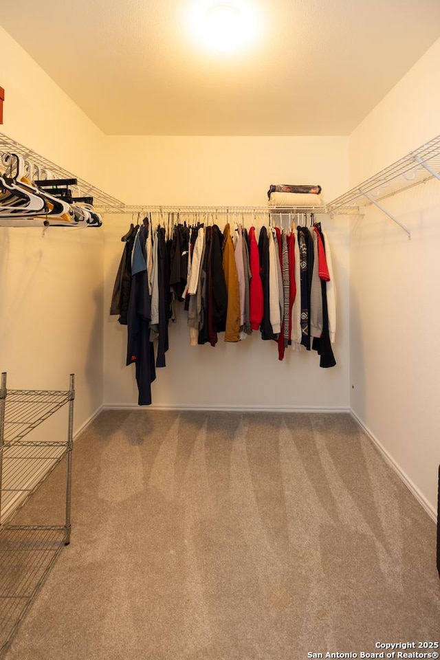 walk in closet featuring carpet floors