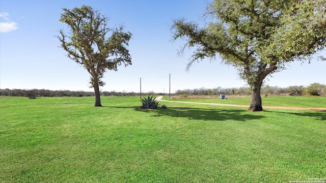 view of yard with a rural view