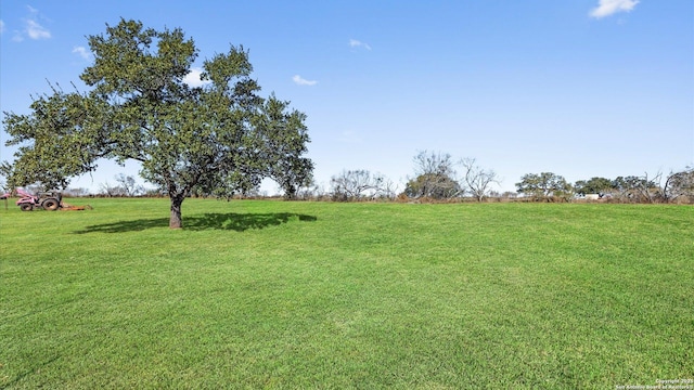 view of yard with a rural view