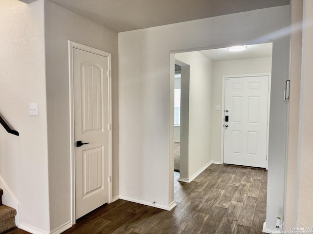 foyer featuring dark wood-type flooring