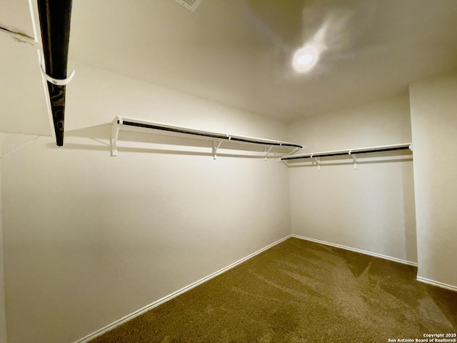 walk in closet featuring carpet flooring