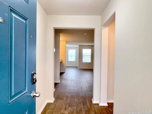 hallway with dark wood-type flooring