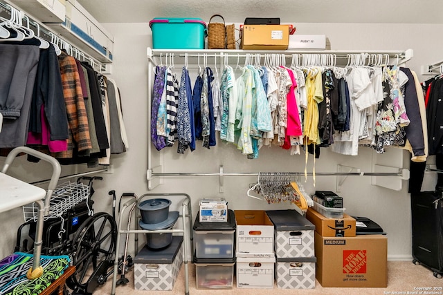 spacious closet featuring carpet