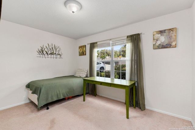 bedroom featuring carpet flooring