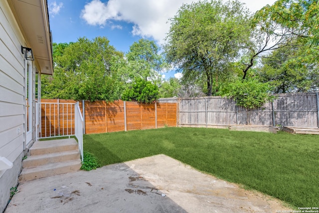 view of yard featuring a patio