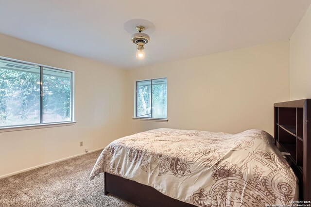 bedroom with multiple windows and carpet flooring