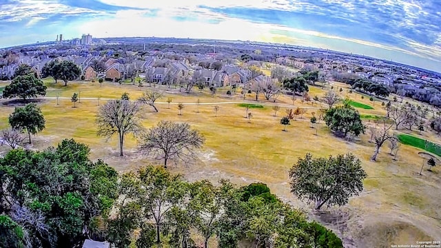 aerial view