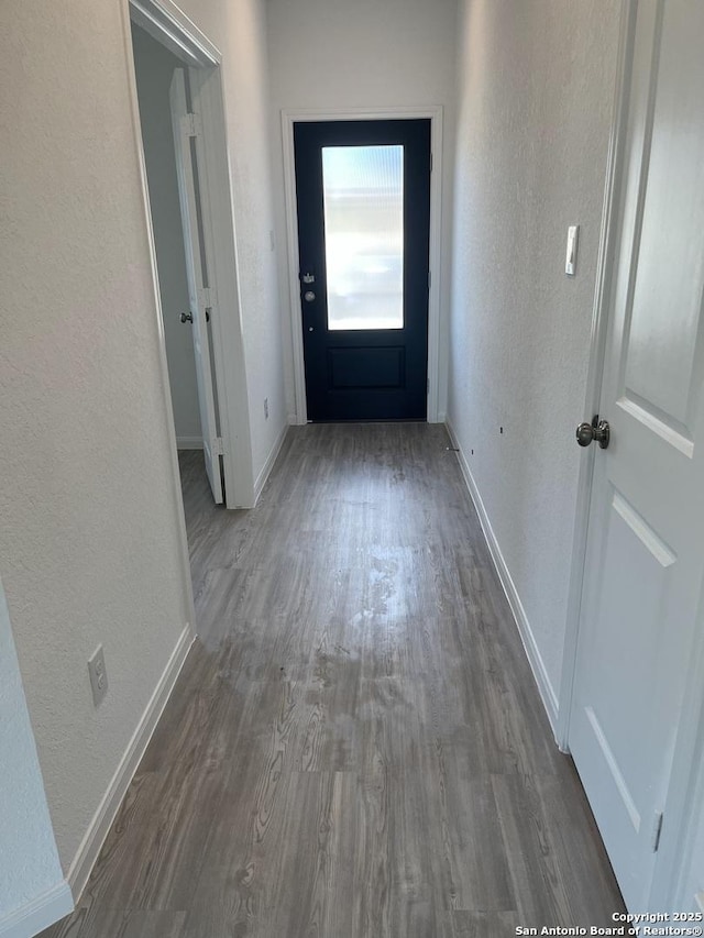 doorway featuring dark wood-type flooring