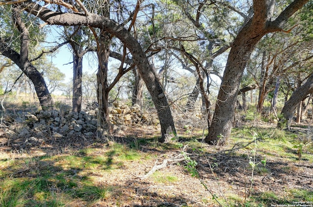 Listing photo 3 for LOTC Ranch Rd 165, Blanco TX 78606