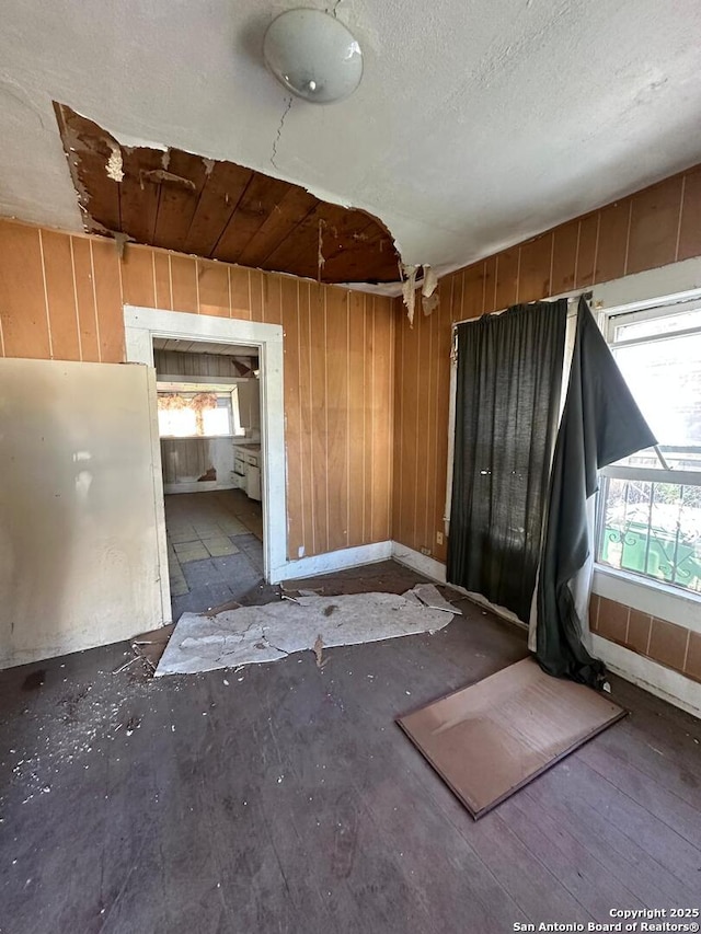 spare room with wooden walls and plenty of natural light