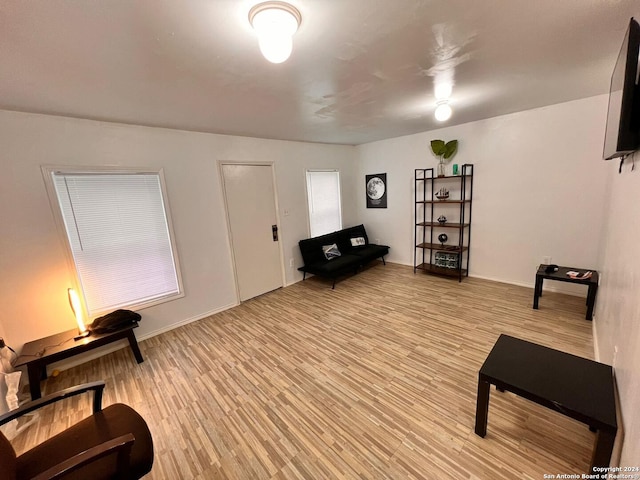 living area with light hardwood / wood-style flooring