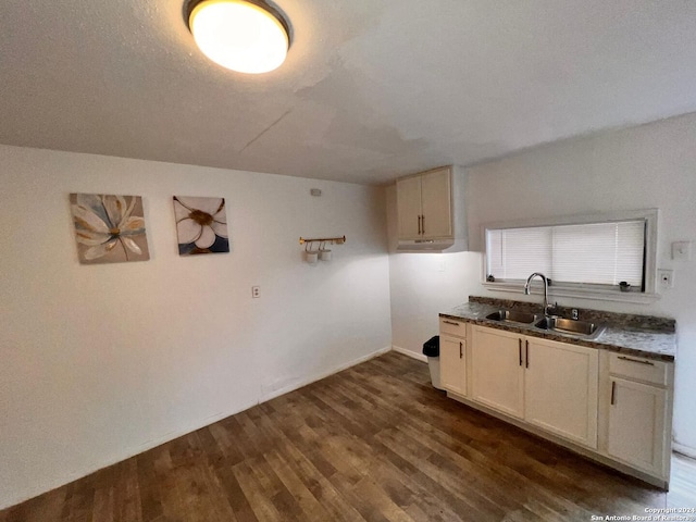 kitchen featuring dark hardwood / wood-style flooring and sink