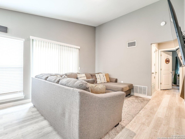 living room featuring a healthy amount of sunlight and light wood-type flooring