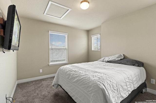 bedroom featuring carpet