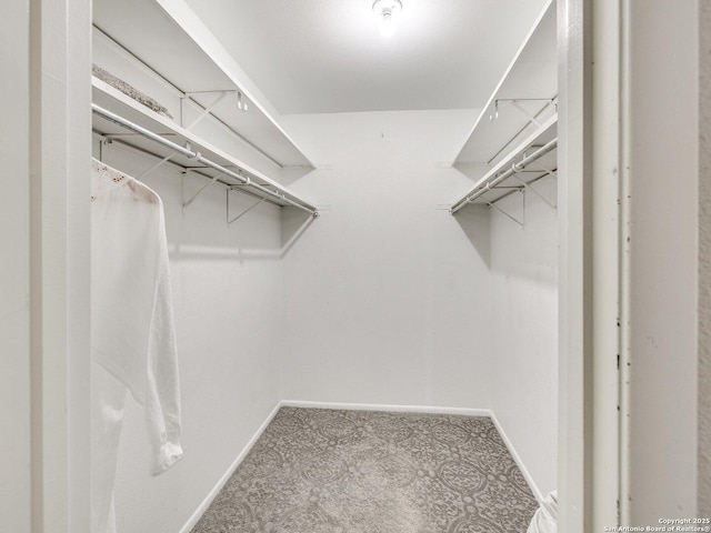 walk in closet with carpet flooring