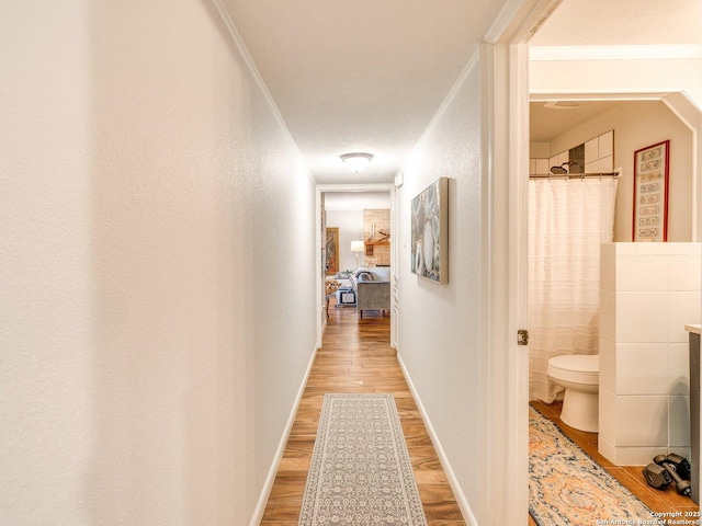 corridor featuring crown molding and light hardwood / wood-style flooring