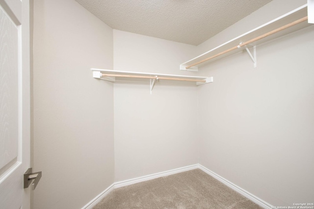 spacious closet with carpet flooring