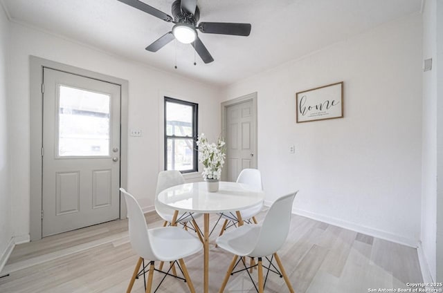 dining area with ceiling fan, light hardwood / wood-style floors, and crown molding