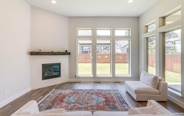 living room featuring dark wood-type flooring