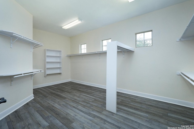 walk in closet with dark hardwood / wood-style flooring