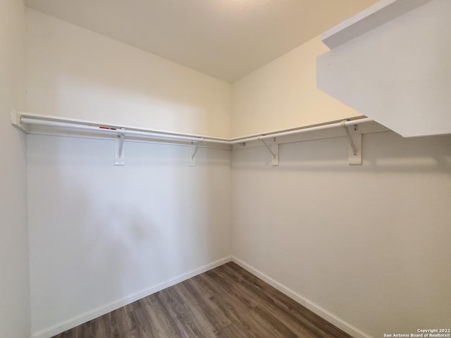 spacious closet featuring dark hardwood / wood-style floors