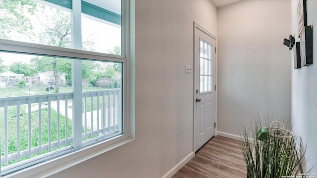 entryway with hardwood / wood-style flooring