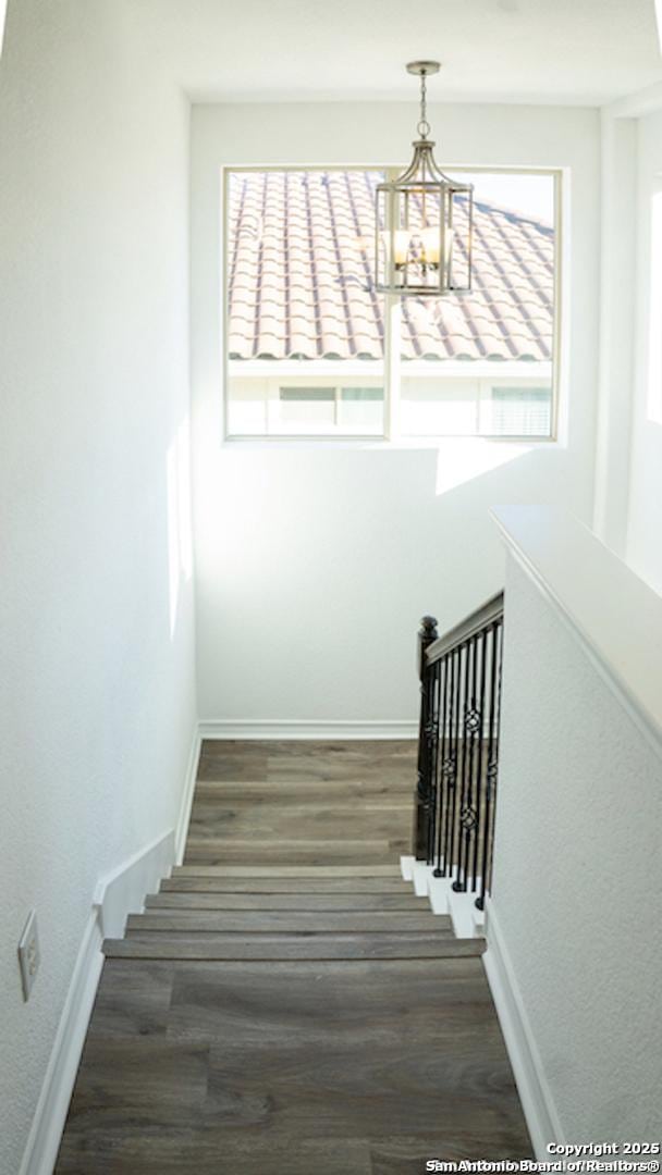 staircase featuring plenty of natural light, wood-type flooring, and an inviting chandelier