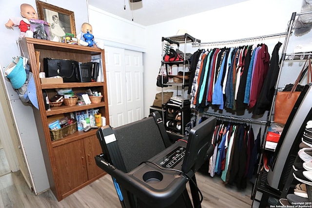 spacious closet with ceiling fan and light hardwood / wood-style flooring