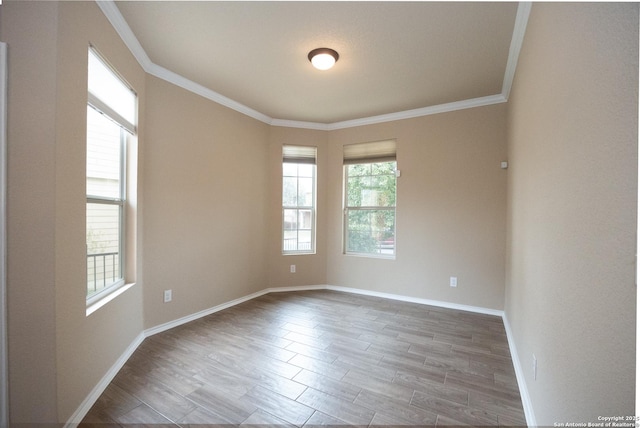 spare room featuring crown molding