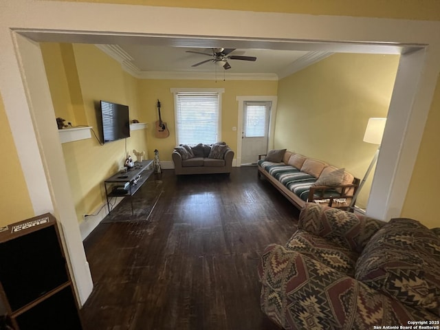 living room featuring dark hardwood / wood-style flooring, ceiling fan, and crown molding