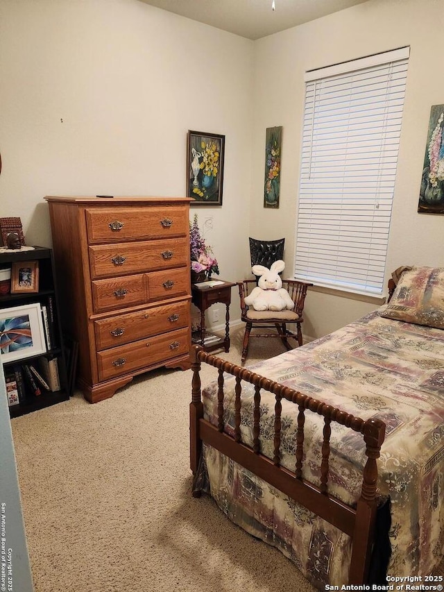 bedroom with carpet flooring