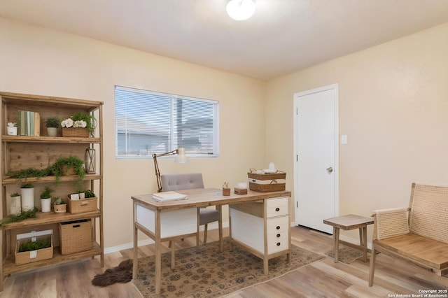 office featuring hardwood / wood-style flooring