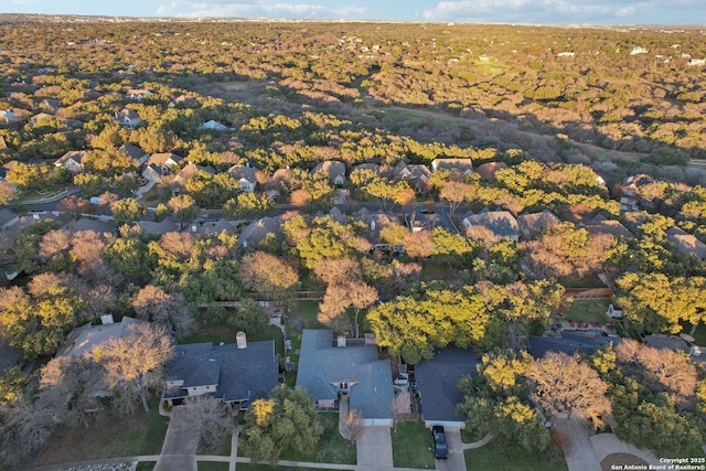 bird's eye view