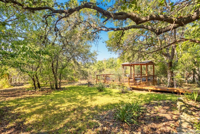 view of yard featuring a wooden deck