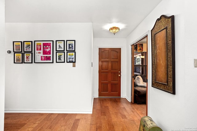 foyer entrance with light hardwood / wood-style flooring