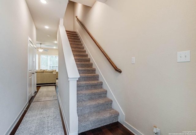 stairway featuring ceiling fan and hardwood / wood-style flooring