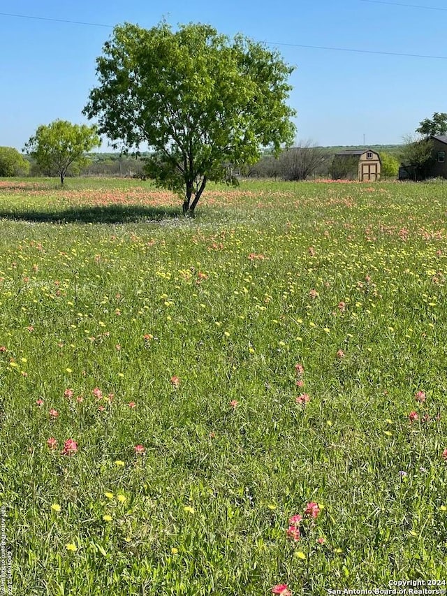 view of yard with a rural view