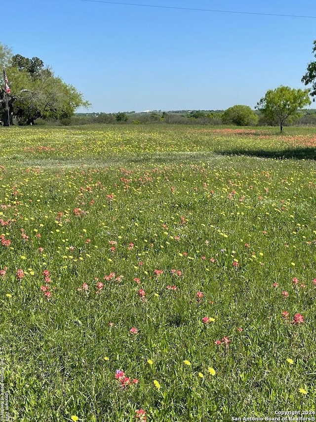 view of local wilderness featuring a rural view