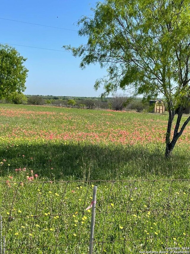 view of yard with a rural view