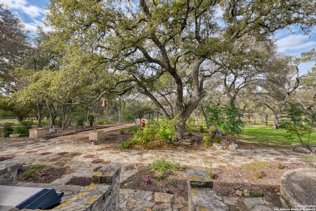 view of yard with a patio